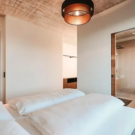 Alpin Dachsteinhaus Шале