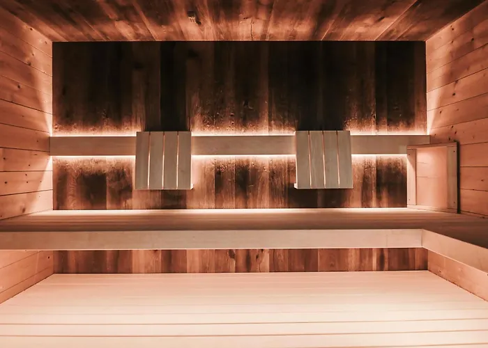 Chalet Alpin Dachsteinhaus *